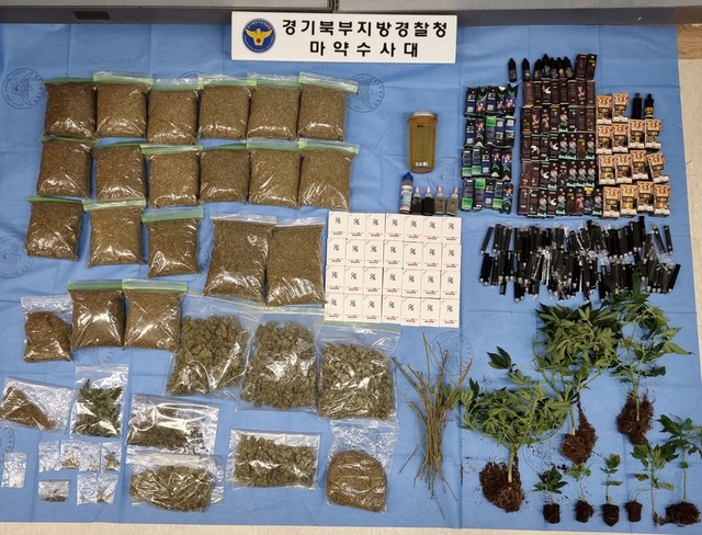 Hàn Quốc lập nhóm điều tra đặc biệt về tội phạm ma túy - Ảnh 1.