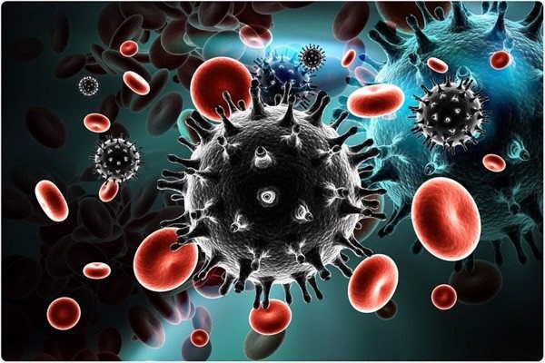 Ngăn ngừa nhiễm trùng cơ hội ở người nhiễm HIV - Ảnh 1.