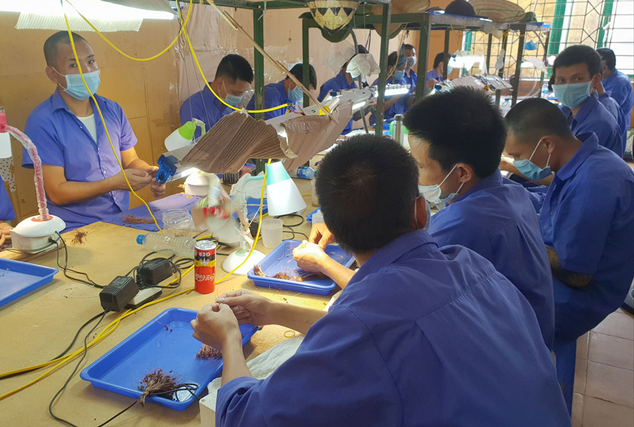 Hà Nội: 10 nội dung về cai nghiện và quản lý sau cai nghiện ma túy