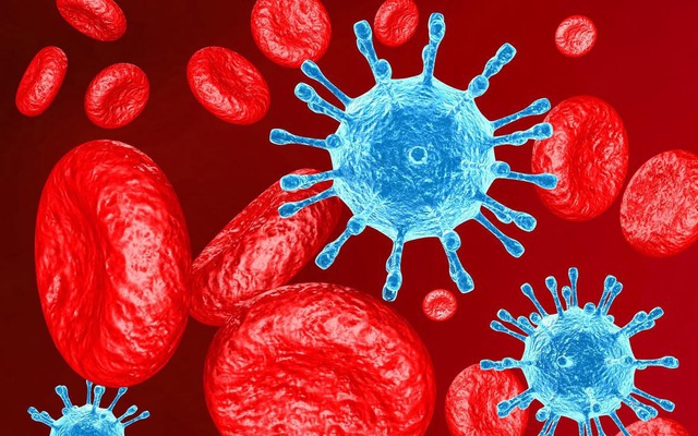 Phát hiện đột phá về cơ chế cấy ghép tế bào gốc mở đường cho khả năng chữa khỏi HIV - Ảnh 1.