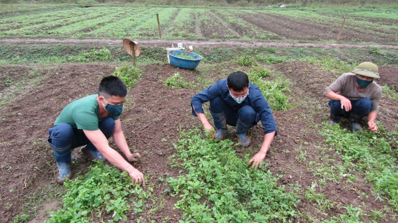 Phát triển không gian xanh, môi trường thân thiện tại cơ sở cai nghiện ma túy - Ảnh 2.