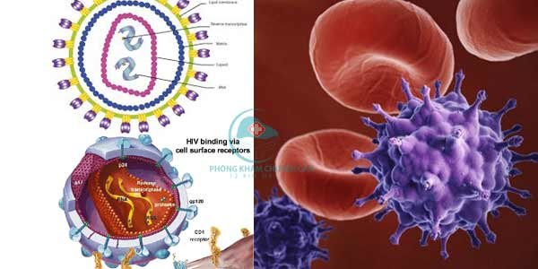 Phác đồ kép mở lối sống khỏe cho người đồng nhiễm HIV và viêm gan C- Ảnh 1.