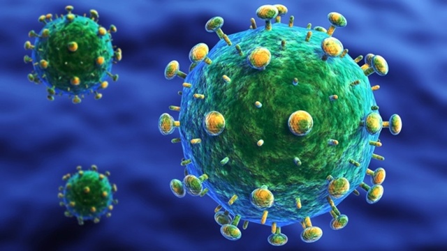 Những điều chưa biết về virus HIV/AIDS