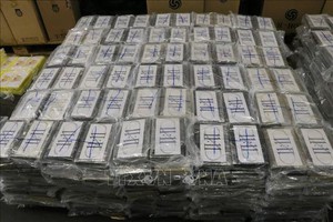 Bỉ: Lượng cocaine bị thu giữ trong năm 2021 lên mức kỷ lục gần 90 tấn