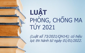Luật Phòng chống ma túy mới nhất 2024 và văn bản hướng dẫn