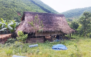 Lập chòi lán trong rừng sâu để mua bán, vận chuyển số lượng lớn ma túy