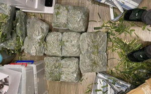 Bắt giữ đối tượng truy nã nguy hiểm trong đường dây mua bán 30kg cần sa liên tỉnh