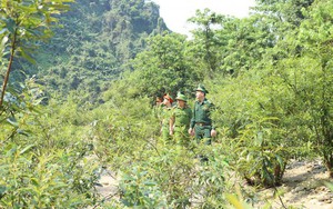 Cần có bộ tiêu chí mới để phân loại địa bàn trọng điểm, không ma túy