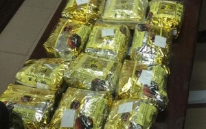 Thanh Hóa bóc gỡ đường dây mua bán, vận chuyển ma túy xuyên quốc gia