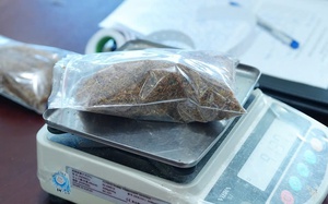 Bắt giữ hai thanh niên mua bán ma túy ngụy trang dưới dạng ‘thuốc lào’