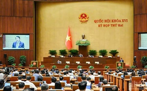 Bộ trưởng Bộ Công an giải trình lý do đề xuất bỏ tử hình với tội mua bán ma túy - Ảnh 2.