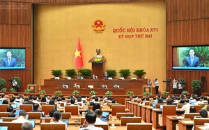 Bắt giữ đối tượng tàng trữ, mua bán gần 1000 viên ma túy và súng đạn ở Sơn La - Ảnh 6.