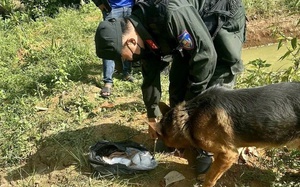 Cảnh khuyển giúp công an tìm thấy 2,5 kg ma túy các nghi phạm cất giấu