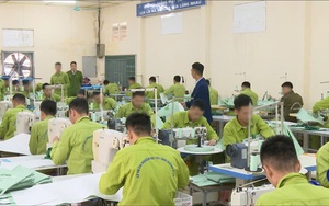 Hỗ trợ người sau cai nghiện tái hòa nhập cộng đồng ở Quảng Ninh