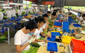 Tạo sinh kế, mở đường trở về cho người sau cai nghiện ma túy