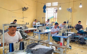 Việc làm mở lối cho người sau cai tái hòa nhập