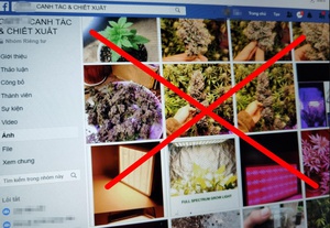 Nhiều nhóm kín độc hại, phi pháp trên Facebook ở Việt Nam