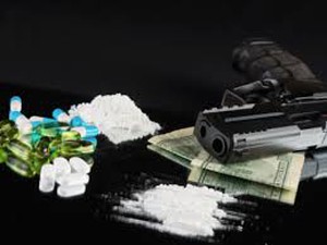 Europol truy quét mạng lưới buôn lậu súng và ma túy 
