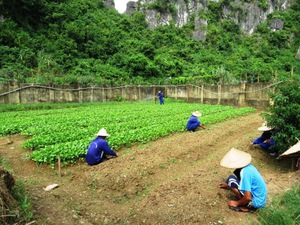 'Mái nhà' giúp đỡ những mảnh đời lầm lỗi