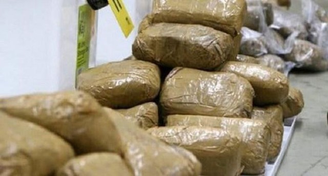 Hải quan Benin bắt giữ gần 2 tấn ma túy trên biên giới với Togo - Ảnh 1.