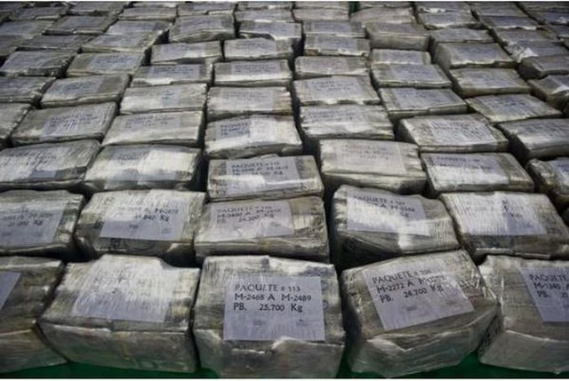 Ecuador thu giữ gần 7 tấn cocaine chuẩn bị được đưa sang Bỉ - Ảnh 1.
