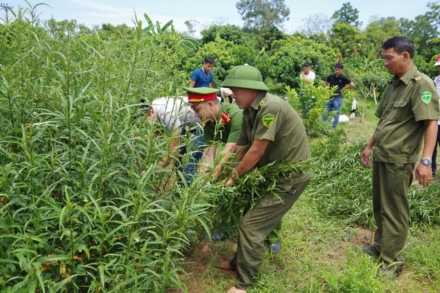 Việt Nam nhất quán quan điểm không hợp pháp hóa các chất ma túy - Ảnh 1.
