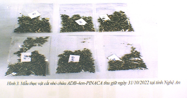 Phát hiện thêm chất gây nghiện mới chưa có trong danh mục quản lý tại Việt Nam - Ảnh 2.