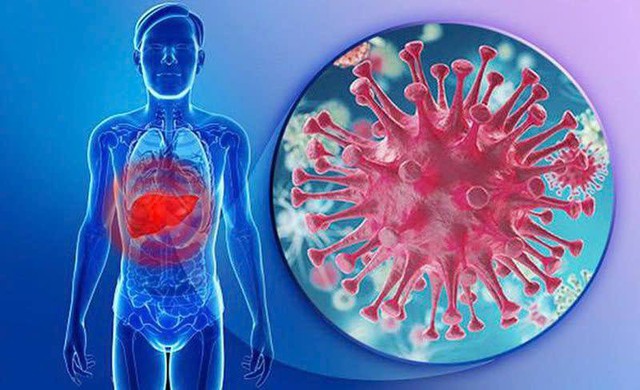 Phấn đấu 80% tỉ lệ người bệnh HIV được làm xét nghiệm sàng lọc viêm gan virus C- Ảnh 1.