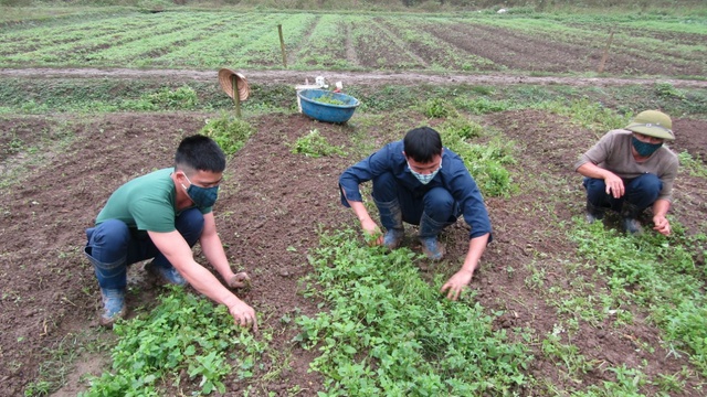 Phát triển không gian xanh, môi trường thân thiện tại cơ sở cai nghiện ma túy- Ảnh 2.