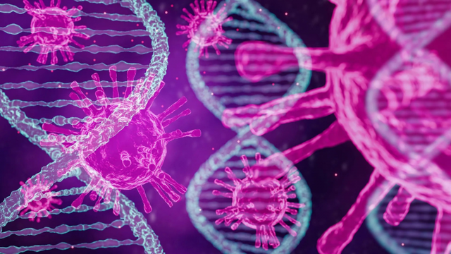 Phát hiện mới về virus bạch cầu và tiềm năng điều trị HIV- Ảnh 1.