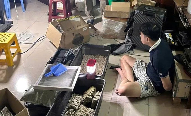 Triệt phá vườn trồng cần sa lớn nhất từ trước đến nay tại Đà Nẵng  - Ảnh 1.