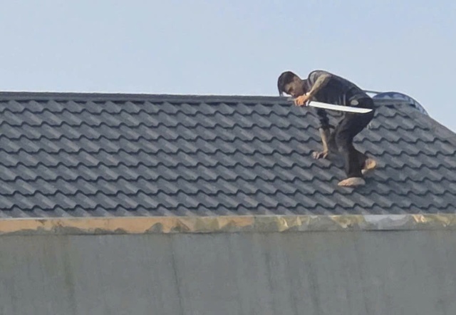 Bắt giữ đối tượng tàng trữ, mua bán gần 1000 viên ma túy và súng đạn ở Sơn La - Ảnh 3.
