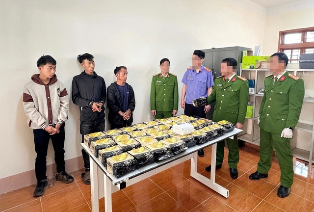 Triệt phá đường dây ma túy xuyên biên giới, thu giữ súng và hơn 34kg ma túy- Ảnh 1.