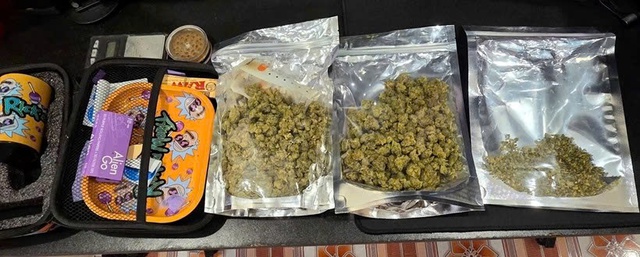 Triệt xóa đường dây mua bán ma túy, thu giữ 120 gam cần sa tại Hải Phòng- Ảnh 2.