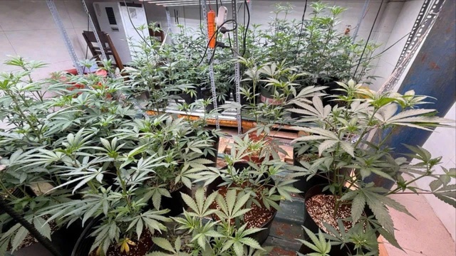 Xây dựng một Đà Nẵng không ma túy- Ảnh 2.