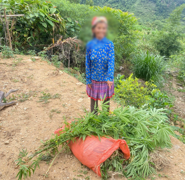 Bắt giữ đối tượng vận chuyển ma túy qua biên giới Việt Lào- Ảnh 2.