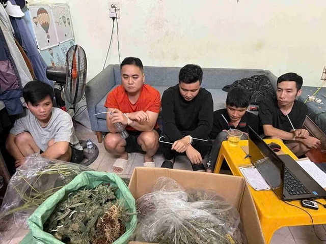 Triệt phá nhóm trồng, mua bán gần 74kg cần sa tại Hưng Yên- Ảnh 1. Triệt phá nhóm trồng, mua bán gần 74kg cần sa tại Hưng Yên- Ảnh 1.