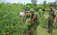 Việt Nam nhất quán quan điểm không hợp pháp hóa các chất ma túy
