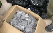 Thu giữ 179 kg ma túy tổng hợp trong chuyên án ma túy từ Đức về Việt Nam