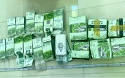 Khởi tố hơn 1.500 bị can, thu giữ khoảng 568 kg ma túy trong chuyên án truy xét VN10