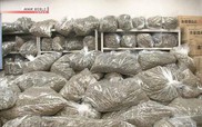 Bộ Ngoại giao lên tiếng vụ Nhật Bản bắt 3 người Việt tàng trữ cần sa khô