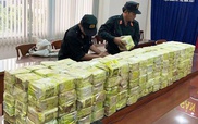 Triệt phá đường dây vận chuyển gần 800kg ma túy xuyên quốc gia