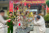 Thủ tướng Phạm Minh Chính tiếp Thủ hiến bang Hạ Saxony của Đức