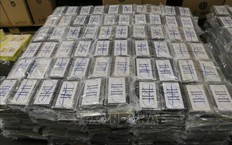 Bỉ: Lượng cocaine bị thu giữ trong năm 2021 l&#234;n mức kỷ lục gần 90 tấn