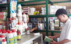 Quản lý chặt thuốc thú y chứa chất ma túy, tiền chất