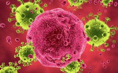 Chuy&#234;n gia CDC Hoa Kỳ tại Việt Nam khuyến c&#225;o nguy cơ đồng nhiễm bệnh đậu m&#249;a khỉ/HIV