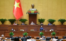 Đại biểu Quốc hội lo ngại về thuốc lá điện tử