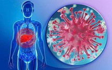 Phấn đấu 80% tỉ lệ người bệnh HIV được l&#224;m x&#233;t nghiệm s&#224;ng lọc vi&#234;m gan virus C