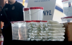 Mexico: Thu giữ 100 tấn tiền chất sản xuất fentanyl