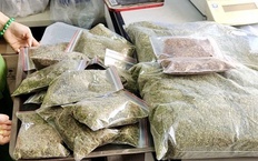 Triệt ph&#225; đường d&#226;y mua b&#225;n tr&#225;i ph&#233;p hơn 10kg ma t&#250;y ‘Tobaco’ 